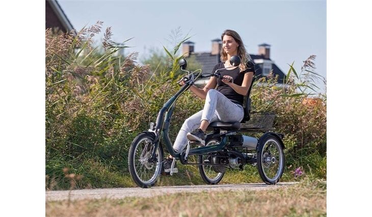 Van Raam Elektro Dreirad Easy Rider Sonder