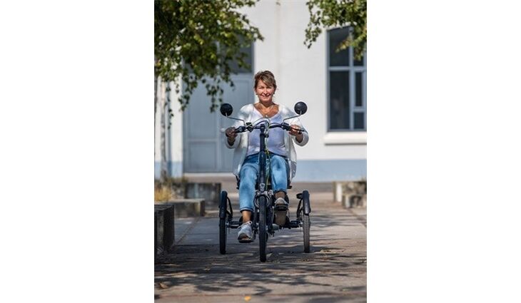 Van Raam Elektro Dreirad Easy Rider Sonder