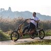Van Raam Elektro Dreirad Easy Rider Sonder