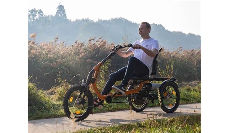 Van Raam Elektro Dreirad Easy Rider Sonder