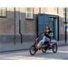 Van Raam Elektro Dreirad Easy Rider Sonder