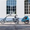 Van Raam Elektro Dreirad Easy Rider Sonder