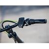 Van Raam Elektro Dreirad Easy Rider Sonder