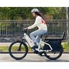 Riese&Müller Multicharger2 Mixte GT Vario 750 47cm Front/300/SB