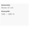 Riese&Müller Multicharger2 Mixte GT Vario 750 47cm Front/300/SB