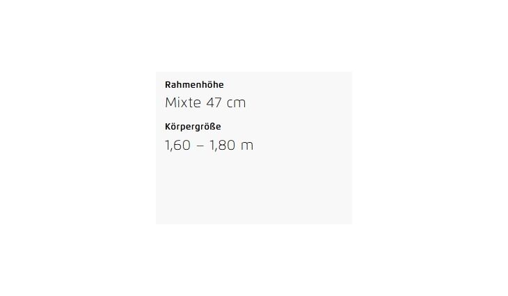 Riese&Müller Multicharger2 Mixte GT Vario 750 47cm Front/300/SB