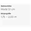 Riese&Müller Multicharger2 Mixte GT Vario 750 47cm Front/300/SB