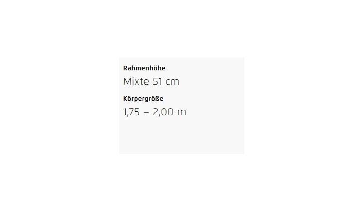 Riese&Müller Multicharger2 Mixte GT Vario 750 47cm Front/300/SB