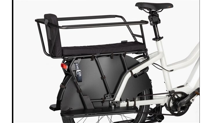 Riese&Müller Multicharger2 Mixte GT Vario 750 47cm Front/300/SB