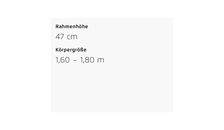 Riese&Müller Multicharger2 Mixte GT Vario 750 47cm Front/300/SB