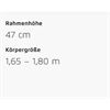 Riese&Müller Delite4 GT Touring 51cm Sonder Test