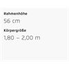 Riese&Müller Delite4 GT Touring 51cm Sonder Test