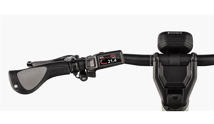 Riese&Müller Delite4 GT Touring 51cm Sonder Test