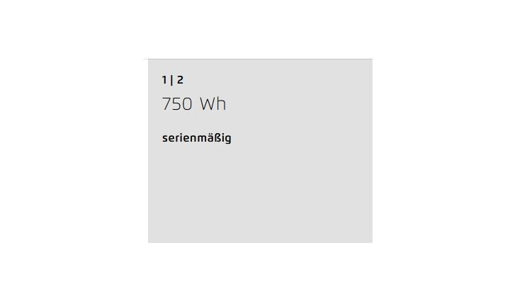 Riese&Müller Delite4 GT Touring 51cm Sonder Test
