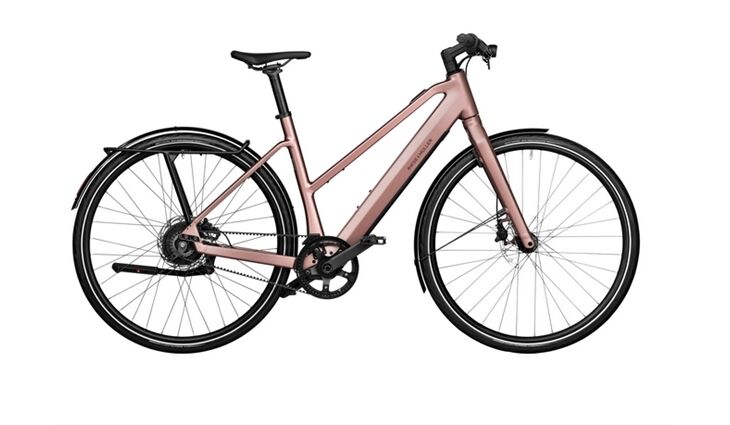 Riese&Müller UBN Seven Vario 45cm Susp Kit, Gepäcktr,Rschloß