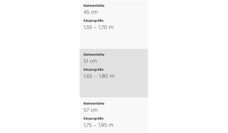 Riese&Müller UBN Seven Vario 45cm Susp Kit, Gepäcktr,Rschloß