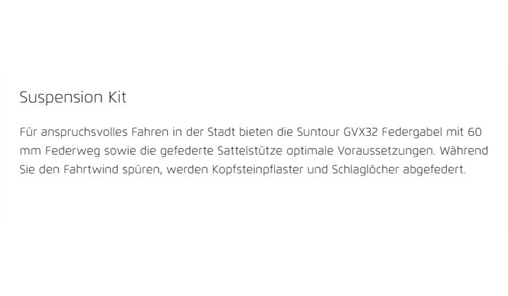 Riese&Müller UBN Seven Vario 45cm Susp Kit, Gepäcktr,Rschloß