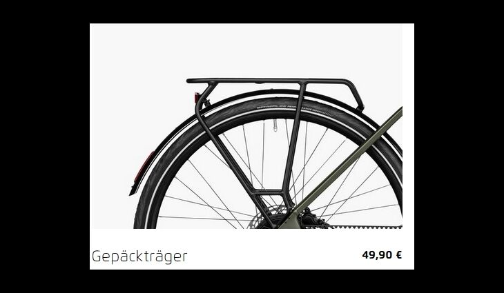 RieseundMüller UBN Five Touring 51cm 430WH Rahmenschloß