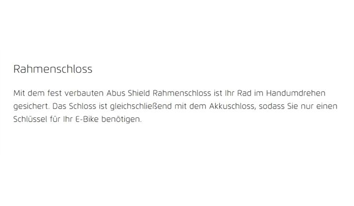 Riese&Müller UBN Five Vario 51cm Rahmenshloß