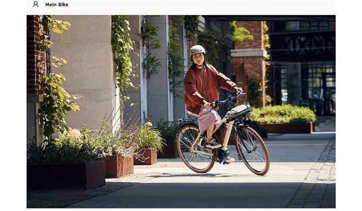 Riese&Müller Cruiser2 Mixte silent 50cm 75-545 Kiox300,Front,RX