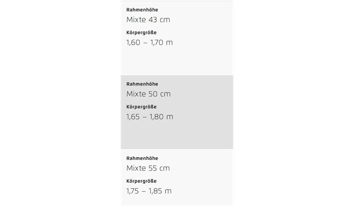Riese&Müller Cruiser2 Mixte silent 50cm 75-545 Kiox300,Front,RX