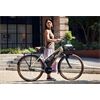 Riese&Müller Cruiser2 Mixte silent 50cm 75-545 Kiox300,Front,RX