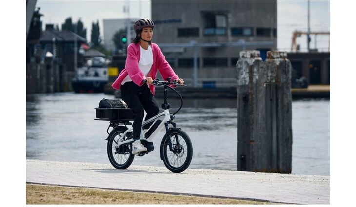 Riese&Müller Tinker2 Vario Sonder 545Wh Kiox300,Stütze, RX