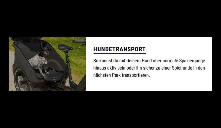 CUBE Trike Family Hybrid CX-300-750 24" / 20": 2024