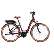 Riese&Müller Swing4 Vario smart 46cm 28 Zoll 300/Kette Sonder