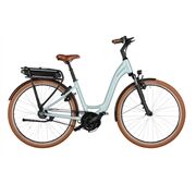 Riese&Müller Swing4 Vario smart 46cm 28 Zoll 300/Kette Sonder