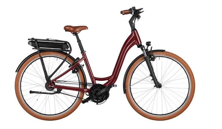 Riese&Müller Swing4 Vario smart 51cm 28 Zoll 300/Kette Sonder