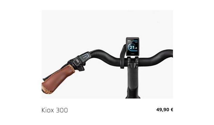 Riese&Müller Swing4 Vario smart 51cm 28 Zoll 300/Kette Sonder