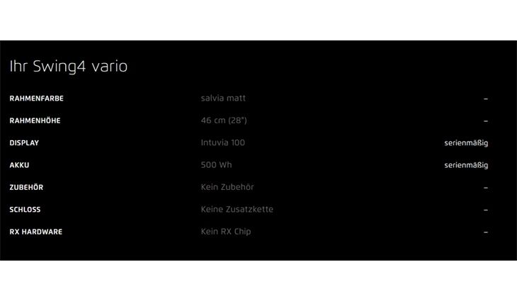 Riese&Müller Swing4 Vario smart 51cm 28 Zoll 300/Kette Sonder