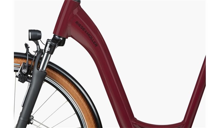 Riese&Müller Swing4 Vario smart 51cm 28 Zoll 300/Kette Sonder