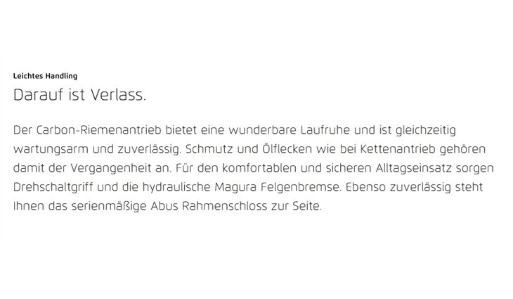 Riese&Müller Swing4 Vario smart 51cm 28 Zoll 300/Kette Sonder