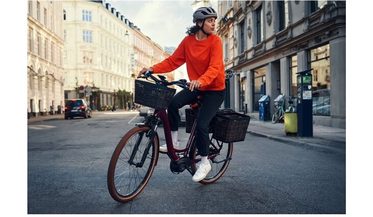 Riese&Müller Swing4 Vario smart 51cm 28 Zoll 300/Kette Sonder