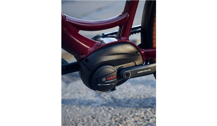 Riese&Müller Swing4 Vario smart 51cm 28 Zoll 300/Kette Sonder