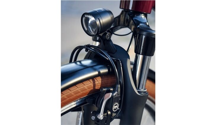 Riese&Müller Swing4 Vario smart 51cm 28 Zoll 300/Kette Sonder