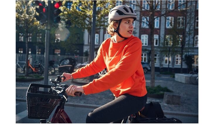 Riese&Müller Swing4 Vario smart 51cm 28 Zoll 300/Kette Sonder