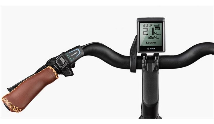 Riese&Müller Swing4 Vario smart 51cm 28 Zoll 300/Kette Sonder