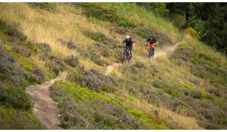 CUBE Bikes E Stereo Hybrid 140 HPC Pro750 L 20" 2024