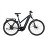 Riese&Müller Charger4 Mixte Vario 53cm Sonder 750 / 250+Kiox300