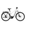 Riese&Müller Charger4 Mixte Vario 49cm 250WH/Kiox300/Kette