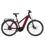 Riese&Müller Charger4 Mixte Vario 49cm 250WH/Kiox300/Kette