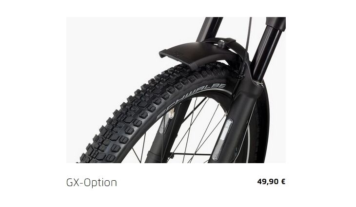 Riese&Müller Charger4 GT Vario 53cm 750+250WH/300/GX/Kette