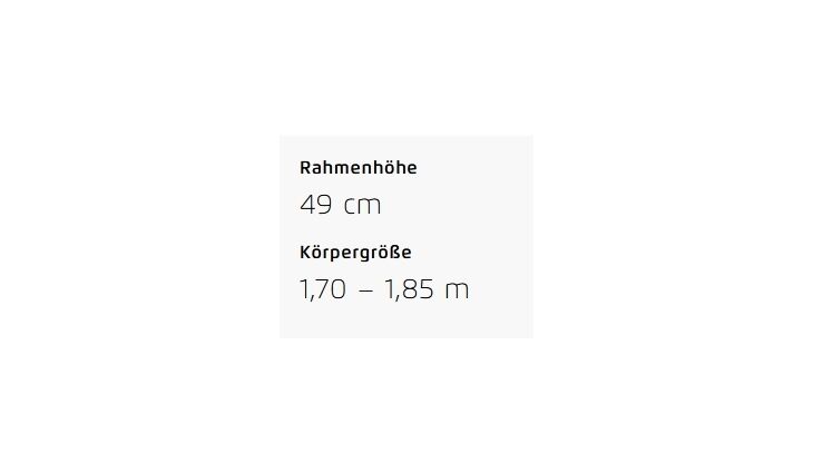 Riese&Müller Charger4 GT Vario 49cm 750+250WH/300/GX/Kette