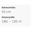 Riese&Müller Charger4 GT Vario 53cm 750+250WH/300/GX/Kette