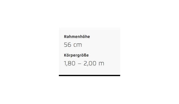 Riese&Müller Charger4 GT Vario 53cm 750+250WH/300/GX/Kette