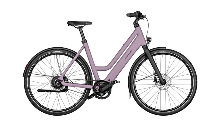 Riese&Müller Culture Mixte Vario 50cm Sonder