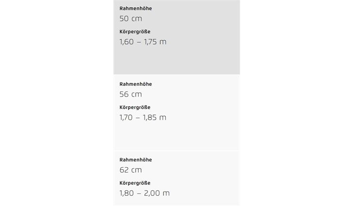 Riese&Müller Culture Mixte Vario 50cm Sonder